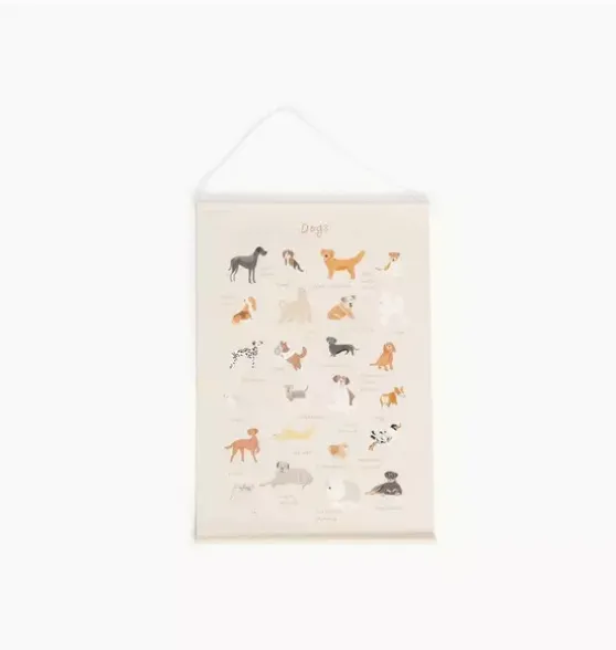 Poster - Dogs