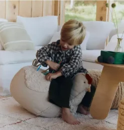 Pouf Chicken