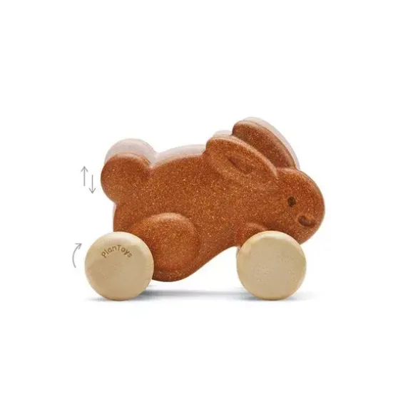 PUSH ALONG BUNNY-BROWN