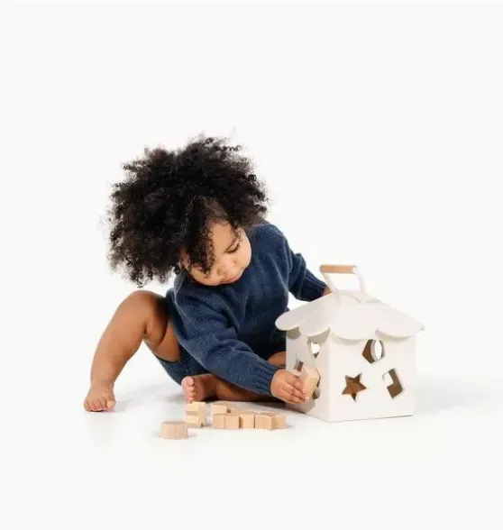 Shape Sorter