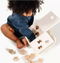 Shape Sorter