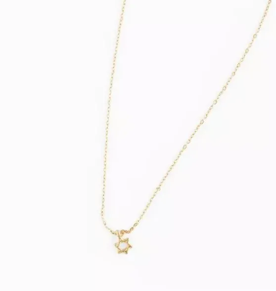 Star Of David Pendant Necklace
