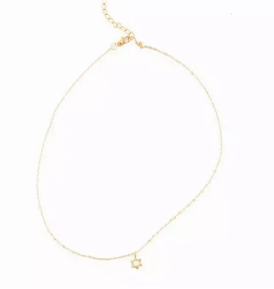 Star Of David Pendant Necklace
