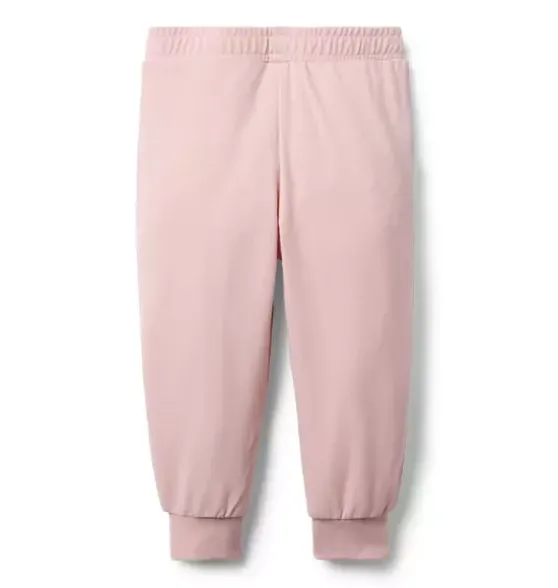 The Adventure Jogger