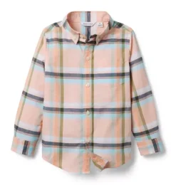The Plaid Shirt