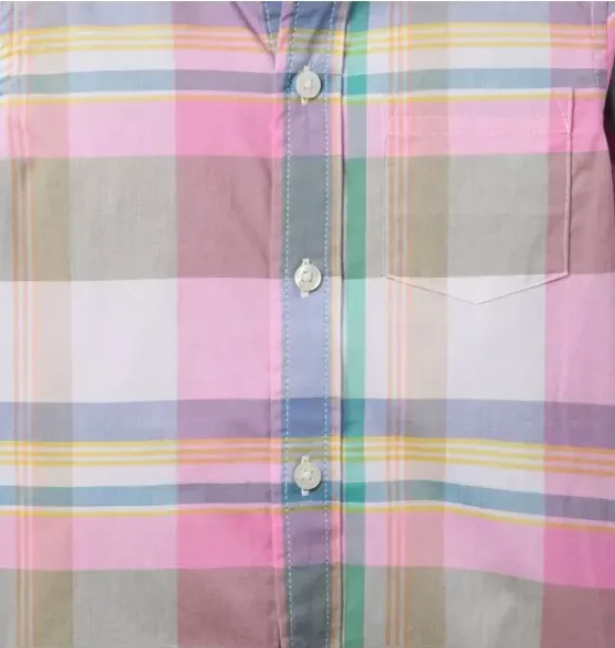 The Plaid Shirt
