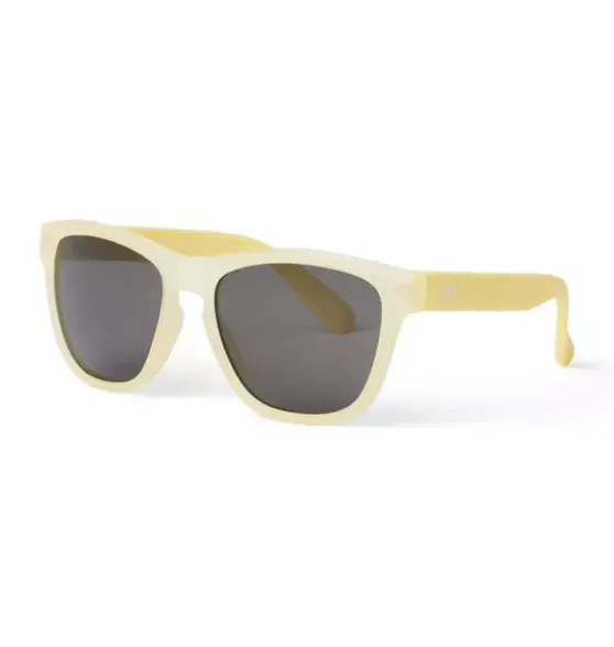 Tinted Sunglasses